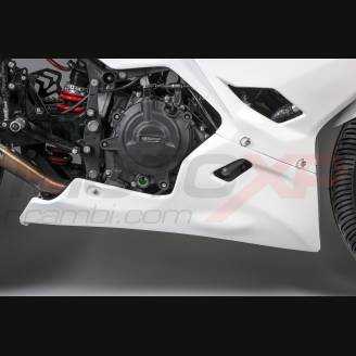 Complete and racing Fairings without Front Fender Vs2 