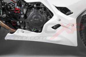 Carénages complets sans Pare-boue Racing Vs2 