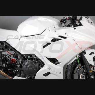 Complete and racing Fairings without Front Fender Vs2 