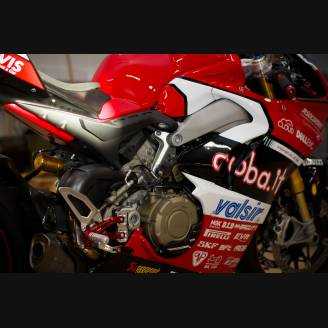 Complete and painted fairings with back seat Neoprene seat DUCV4AR17