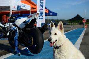 Carene verniciate 30°anniversario