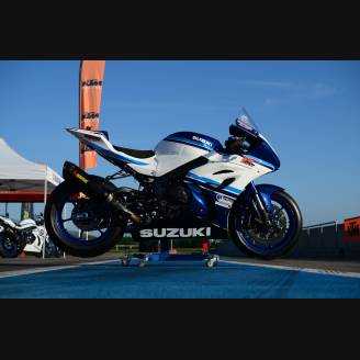 Complete and painted fairings 30° anniversary