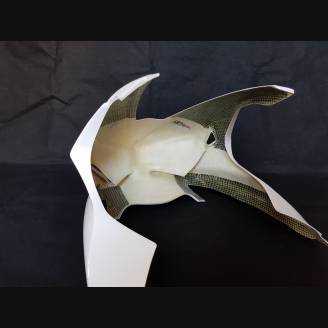 Full fairings without front fender Vs2 
