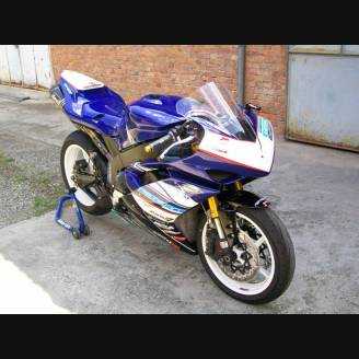 Complete and painted fairings Original 