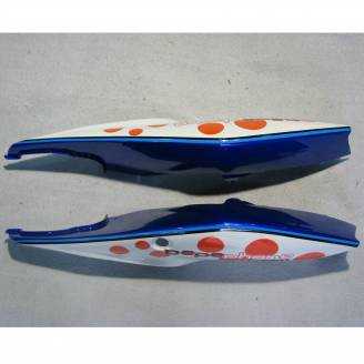 Complete and painted fairings in abs GSX 6D PHP 
