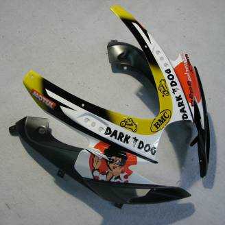 Complete and painted fairings in abs GSX 6D PHP 