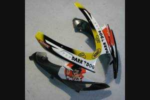 Complete and painted fairings in abs GSX 6D PHP 