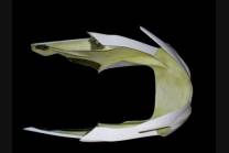 Front fairings without back seat 2