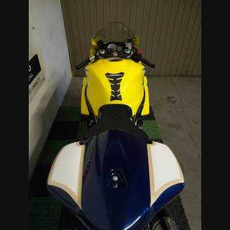 Complete and painted fairings Corona Extra 2007 