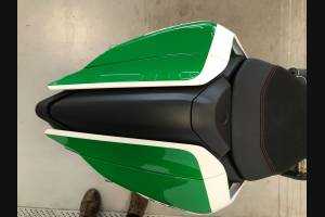 Complete and painted fairings in abs Ducati 1299 Panigale DUAB 1299 F.E.