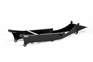 Rear race frame