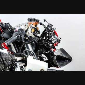 Front race frame