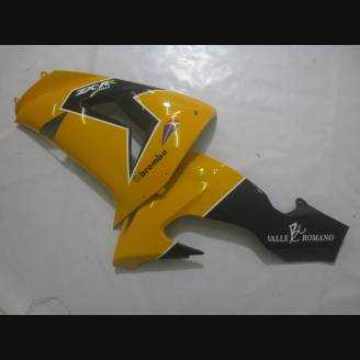 Complete and painted fairings in abs ORANGE 