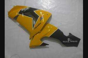 Complete and painted fairings in abs ORANGE 