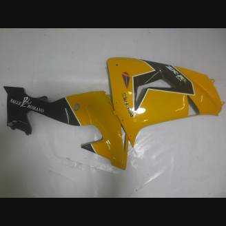 Complete and painted fairings in abs ORANGE 