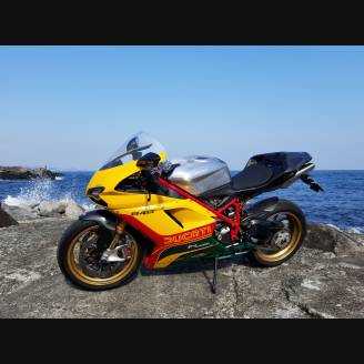 Complete and painted fairings in abs DUCMBE