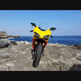 Complete and painted fairings in abs DUCMBE