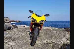 Complete and painted fairings in abs DUCMBE