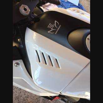 Complete and painted fairings in abs YAM17 ANN3