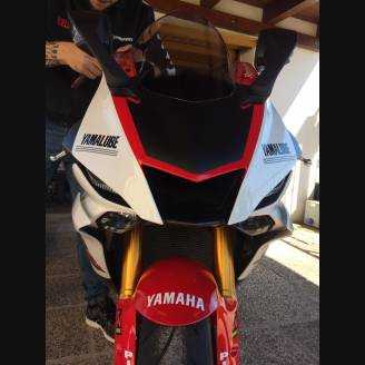 Complete and painted fairings in abs YAM17 ANN3