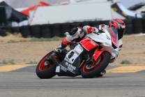 Complete and painted fairings YMR617 ANV 2