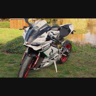 Fairings ABS Lackiert street Ducati 1299 Panigale DU12 CSR