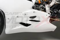 Complete fairings in 5 pieces without front fender Akrapovic silencer Vs2
