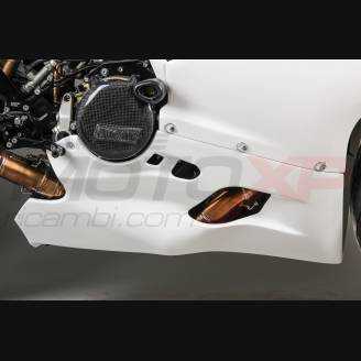 Complete fairings in 5 pieces without front fender Akrapovic silencer Vs2