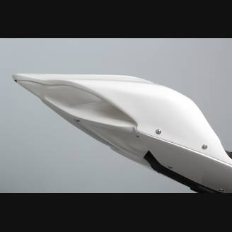 carenado sin guardabarros colin Silenciador Akrapovic VS2