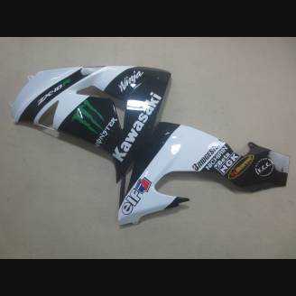 Complete and painted fairings in abs MOWHT 