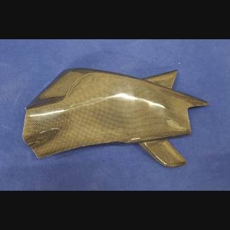 Carbon swingarm cover