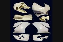 Carene completa senza parafango Scarico Akrapovic Vers.2