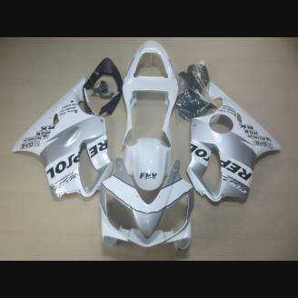Complete and painted fairings in abs HND CBR 6B RPSA 