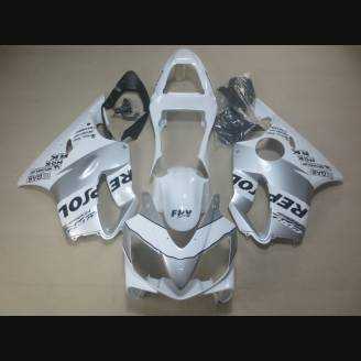 Complete and painted fairings in abs HND CBR 6B RPSA 