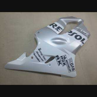 Complete and painted fairings in abs HND CBR 6B RPSA 