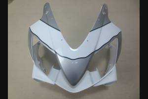 Complete and painted fairings in abs HND CBR 6B RPSA 