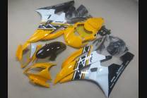 Complete and painted fairings in abs VLGL 2