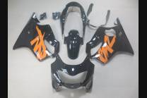 Complete and painted fairings in abs HD 600F BLRF 2