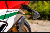 Alette DX Sx in Carbonio Originali Ducati Panigale V4R
