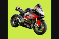 Carene ABS Verniciate Ducati Panigale V4 per scarico Akrapovic DUCV4 RFBL