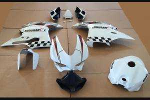 Complete and painted fairings ENDURANCE 