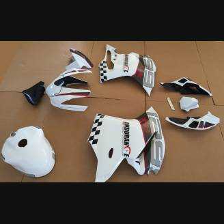 Complete and painted fairings ENDURANCE 