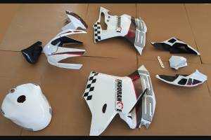 Complete and painted fairings ENDURANCE 