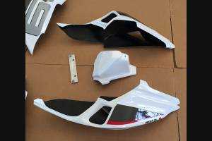 Complete and painted fairings ENDURANCE 