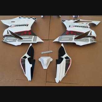 Complete and painted fairings ENDURANCE 