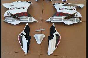 Complete and painted fairings ENDURANCE 