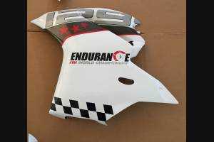 Complete and painted fairings ENDURANCE 