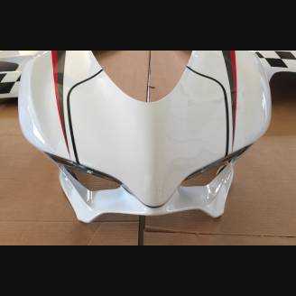 Complete and painted fairings ENDURANCE 