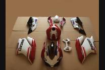 Complete and painted fairings in abs DUC99 MTG15
