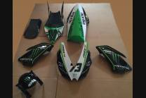 Carene verniciate Monster